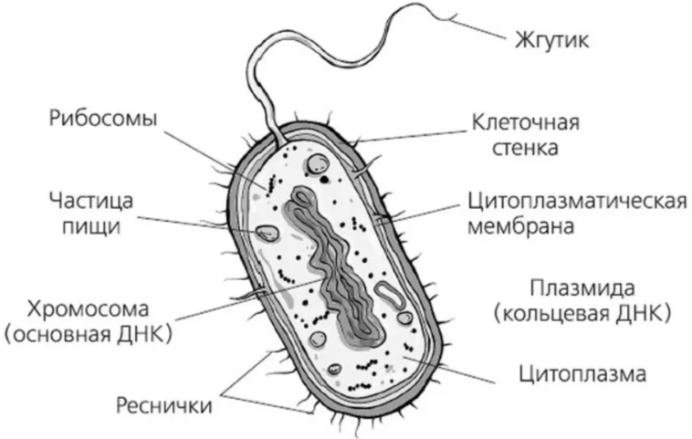 Решение рисунок 2