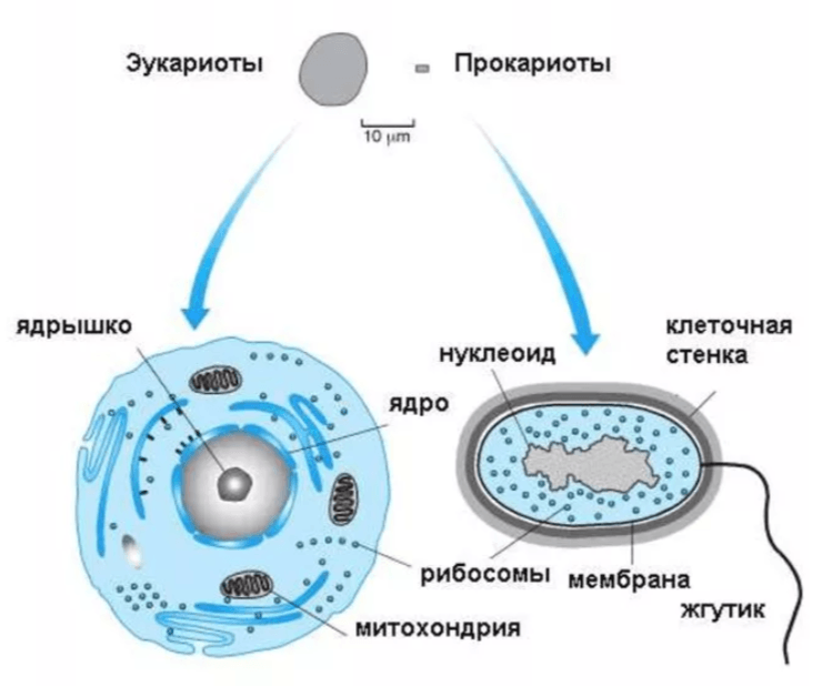 Решение рисунок 1