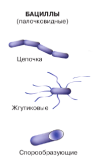 Решение рисунок 1