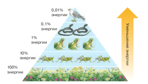 Задание рисунок 1