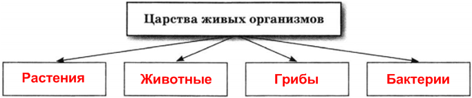 Решение рисунок 1