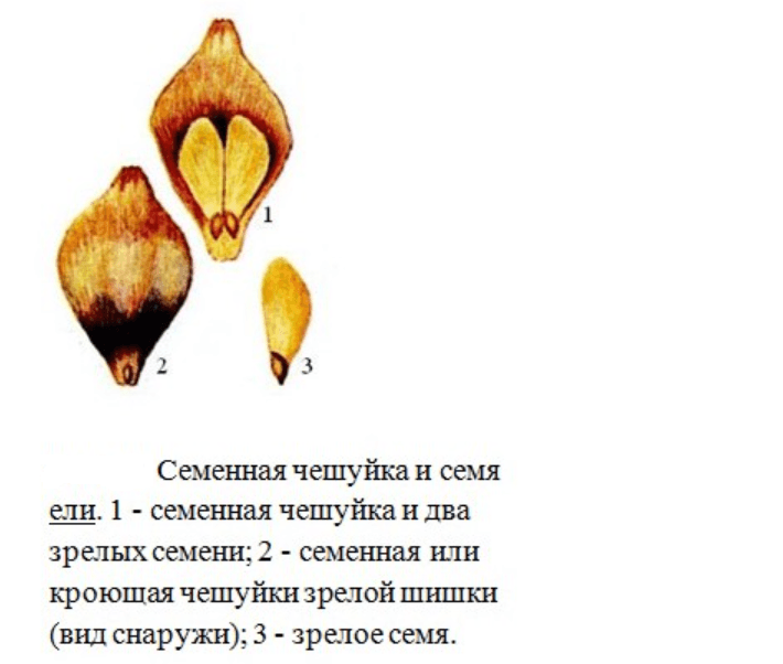 Решение рисунок 2