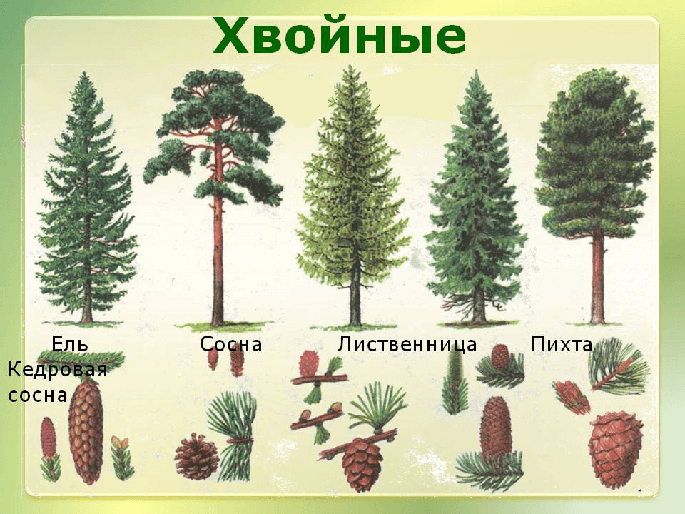 Решение рисунок 1