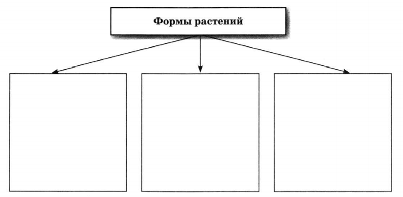 Задание рисунок 1