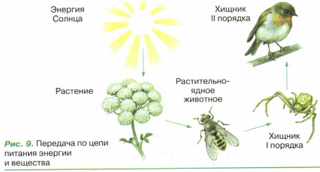 Задание рисунок 1