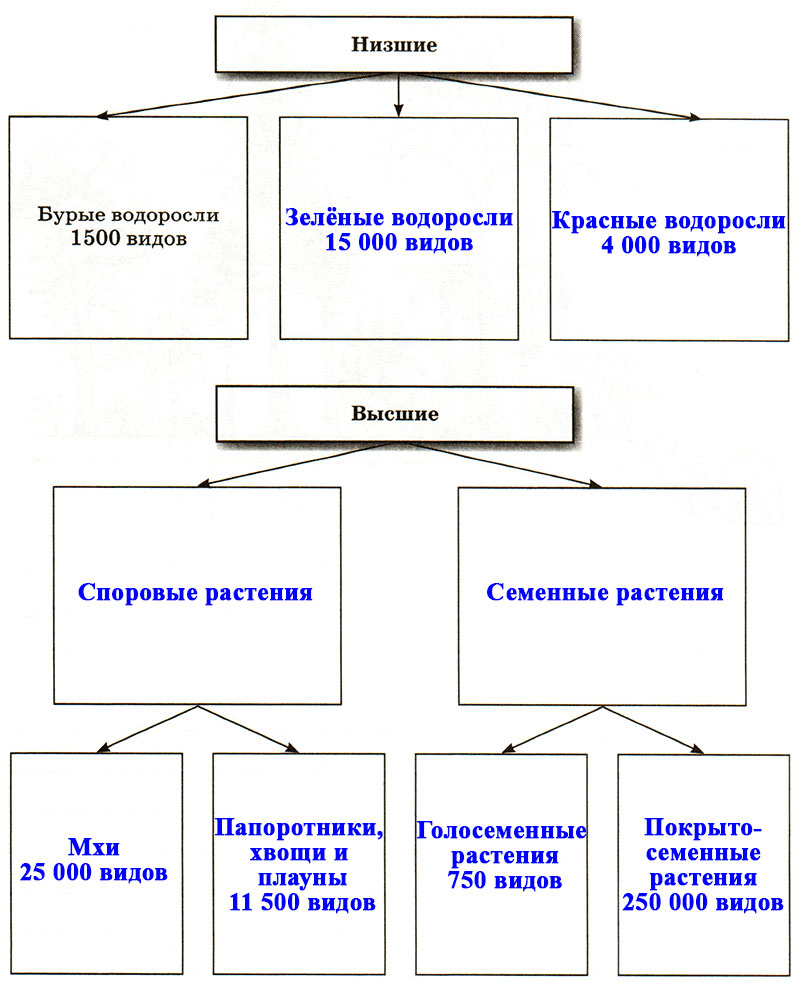 Решение рисунок 1