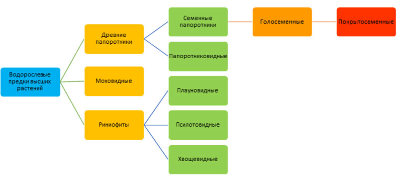 Решение рисунок 1