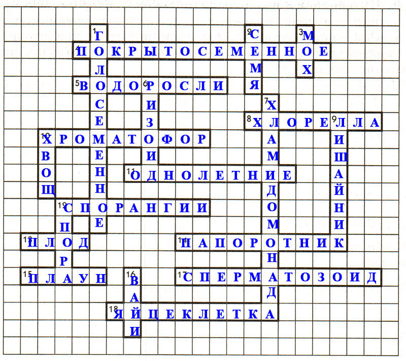Решение рисунок 1