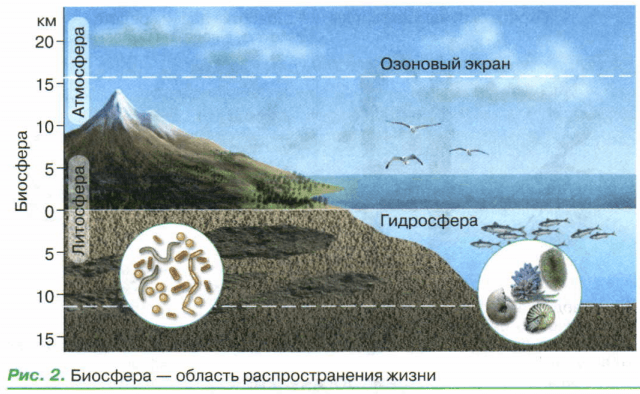 Задание рисунок 1