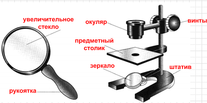 Решение рисунок 1