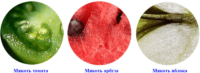 Решение рисунок 2
