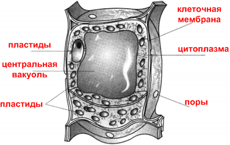 Решение рисунок 1