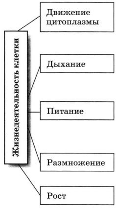 Задание рисунок 1