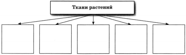 Задание рисунок 1