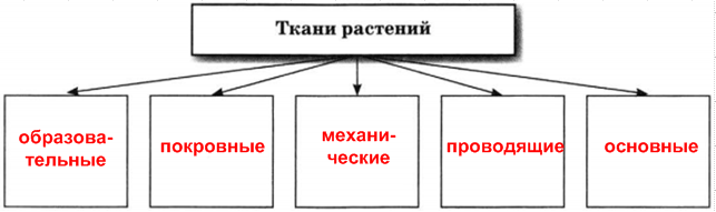 Решение рисунок 1