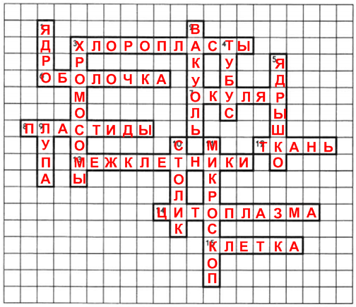 Решение рисунок 1
