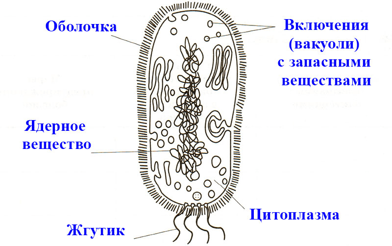 Решение рисунок 1