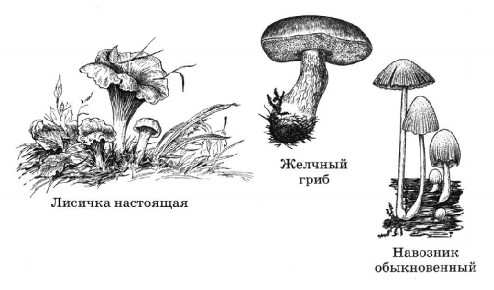 Задание рисунок 2