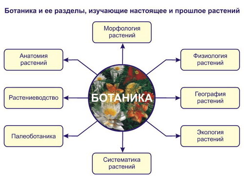 Решение рисунок 1