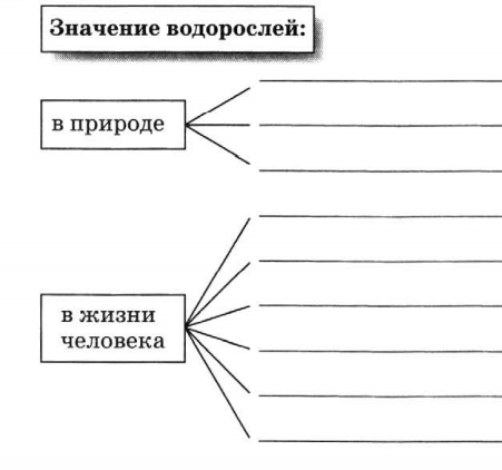 Задание рисунок 1