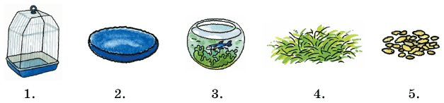 Задание рисунок 1