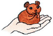 Задание рисунок 1