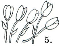 Задание рисунок 5