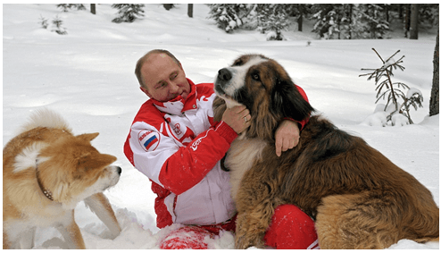 Решение рисунок 1