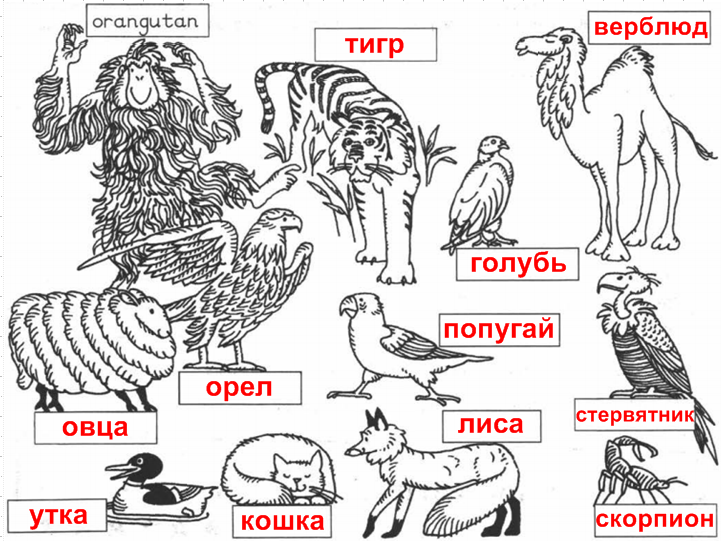 Решение рисунок 2